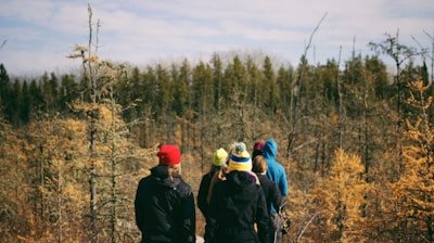 people walking surrounded by trees