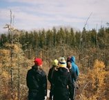 people walking surrounded by trees