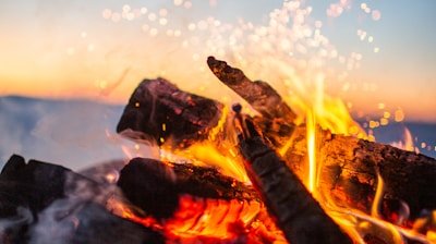 lit bonfire in closeup photography